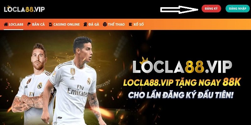 Hướng dẫn chơi đá gà online tại Locla88