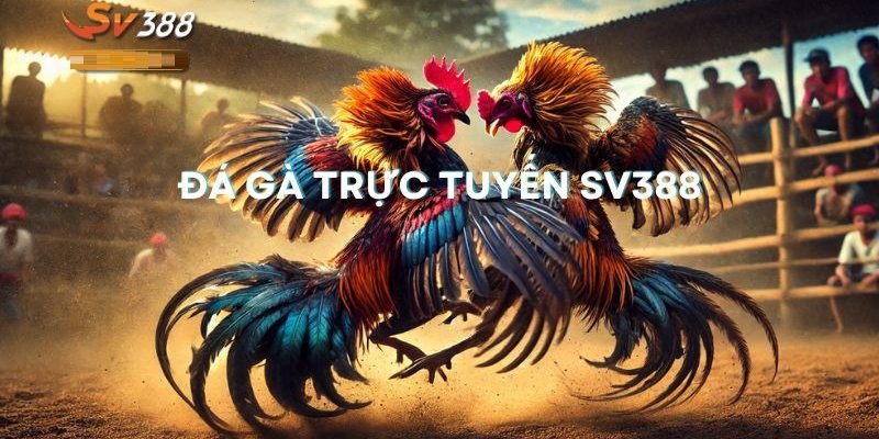 Quy Định Luật Chơi Đá Gà Sv388 : Hướng Dẫn Chi Tiết 6 Đá gà trực tuyến sv388