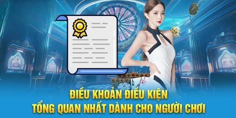 Điều Kiện Điều Khoản Sử Dụng Locla88 Dành Cho Hội Viên 6 Tổng quan về điều khoản điều kiện sử dụng Locla88